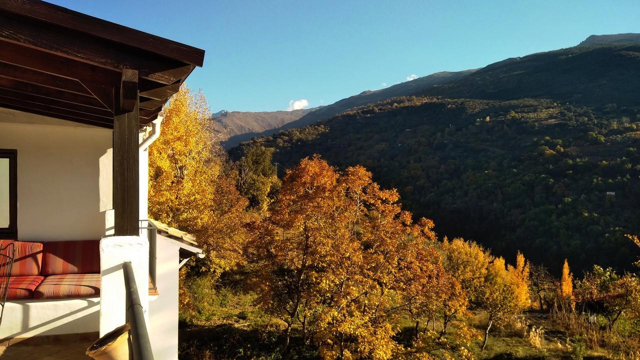 Casa Rural Arroyo De La Greda